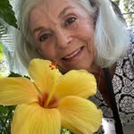 Susan Englund - @suzfla29 - Instagram