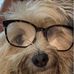 Sue Engwall - Facebook