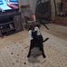 Sue Engwall Scott - Facebook