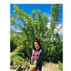 Susan - @susanenos - TikTok