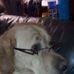 Susan Enright - Facebook