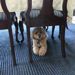 Susan Enright - @senright88 - Instagram