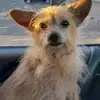 susanenright10 - @susanenright10 - TikTok