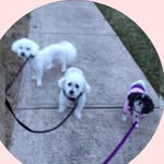 Susan Epperson - @slepacky - Instagram