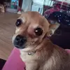 Susan Epperson - @susan.epperson - TikTok