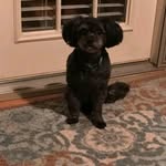 Susan Wallace Epperson - @esusanwallace - Instagram