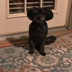 Susan Wallace Epperson - @eppersonsusanwallace - Instagram