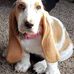 Susan Eppley - Facebook