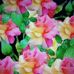Susan Eppley - Facebook