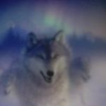 Susan Eppley - @eppleysusan - Instagram