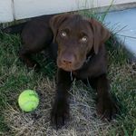 Susan erdmann - @jerdmann35 - Instagram