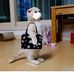 Susan Erler - Facebook