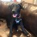 Susan Erler - Facebook