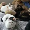 Susann Erler - @susann.erler - TikTok