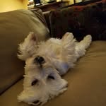 Susan Erlich - @segeneralist - Instagram