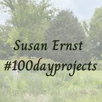 Susan Ernst #100dayproject - @sernst100dayproject - Instagram