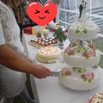 Susan Ernst - @susanernst53 - Instagram