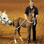 Susan Ernst - @susiecoolfirefarms - Instagram