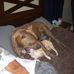 Susan Esler - Facebook