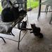 Susan Esler - Facebook