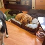 Susan Estelle McMurray - @susanestellemcmurray - Instagram