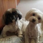 Susan Esterhuizen - @susanesterhuizen - Instagram