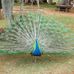 Susan Estill - Facebook
