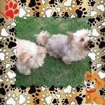 Susan Etheridge - @susan.etheridge.104 - Instagram