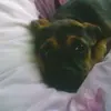 Susan Etherington - @susan.etherington3 - TikTok