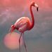 Susan Fagg - Facebook