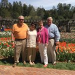 Susan Fagg - @fagg.s - Instagram