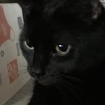Susan faggart - @susan_faggart - Instagram