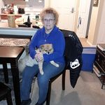 Susan Falco - @susanfal21 - Instagram