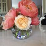 Susan Falco - @enbece53 - Instagram