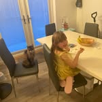 Susan Falconer - @falconer543 - Instagram