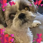 Susan Falconer - Facebook