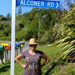 susan falconer - @petalwillettsfalconer - Instagram