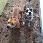 Susan Falconer Carter - @susiec01 - Instagram