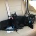 Susan Farver - Facebook