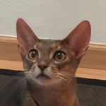 Susan Farver - @susanfarver - Instagram