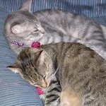 Susan Faust - @dfaust3788 - Instagram