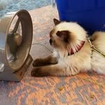 Susan Featherstone - @featherstonesusan - Instagram