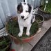Susan Featherstone - Facebook