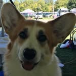 Susan Vodila Feely - @vodilafeely - Instagram
