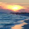 susan_fellows23 - @susan_fellows23 - TikTok