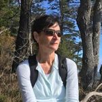 Susan Fellows - @susan_fellows - Instagram