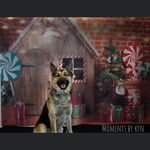Susan Fellows Hayden - @smf1976 - Instagram