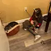 susanfeldman3 - @susanfeldman3 - TikTok