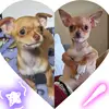 Susan Ferrera - @susan.ferrera1 - TikTok