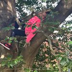 Susan Fielding - @susanrae56 - Instagram